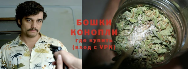 стаф Новозыбков