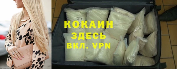 стаф Новозыбков