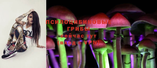 ешки Медногорск