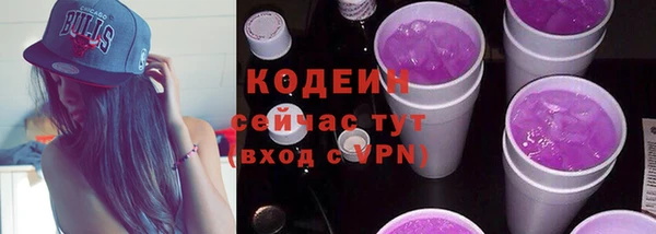 хмурый Михайловск