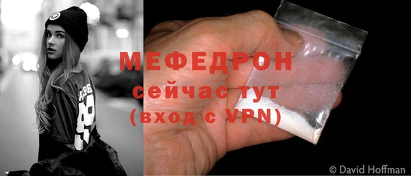 стаф Новозыбков