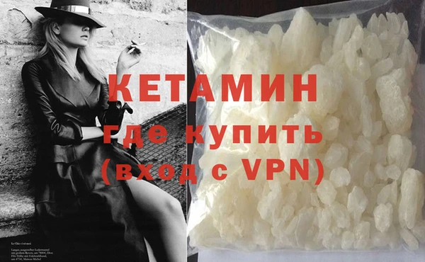 стаф Новозыбков