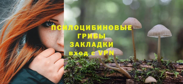 кокс Новодвинск